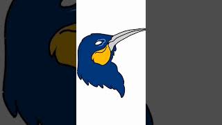 Quick bird color test no.5 | illustration & drawing
