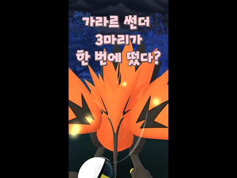 산책향로에서 가라르 <strong>썬더</strong> 3마리가 동시에 떴다!!!| 뽁구BBokTV 포켓몬고 PoKeMonGO