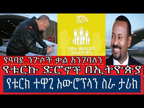 ቪዲዮ: የቱርክ ኪዊ እና የካሜምበር አይብ