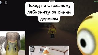 Поход По  Страшному Лабиринту За Синим Деревом