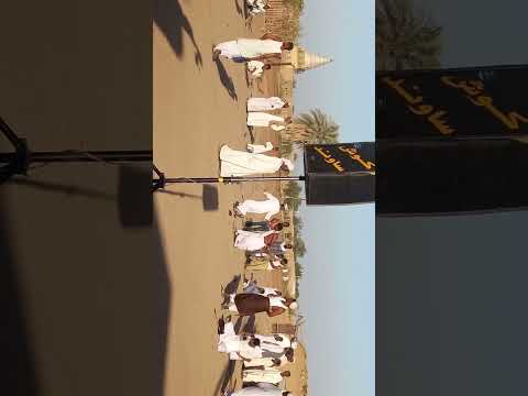 عثمان الجعلي حفلة الحصايا الفاصل التاني