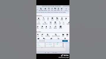 Easily Customize Your Snagit Toolbar to Save Time & Effort!