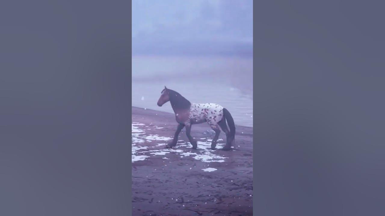 RDR2 • Blanket Appaloosa Mustang • Red Dead Redemption 2 YouTube