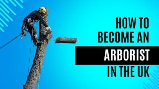 How To Become An Arborist in the UK (and why it’s worth it!)