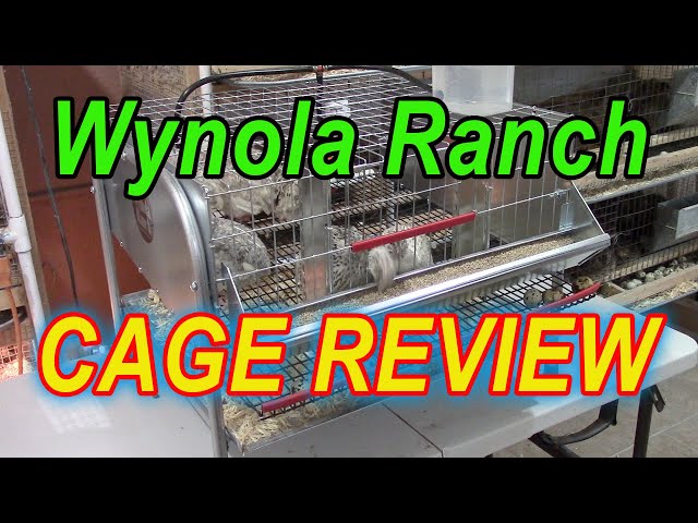 WYNOLA RANCH CAGE REVIEW - Reviewing the 22 Community Quail Cage class=