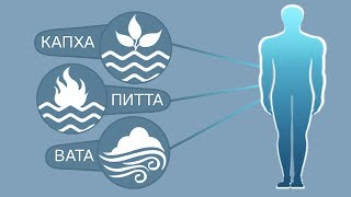 О смешанных типах конституции личности по аюрведе. Массажный кабинет – зона комфорта для массажиста