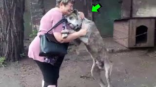 REENCUENTRO DE ANIMALES CON DUEÑOS, Intenta no LLORAR