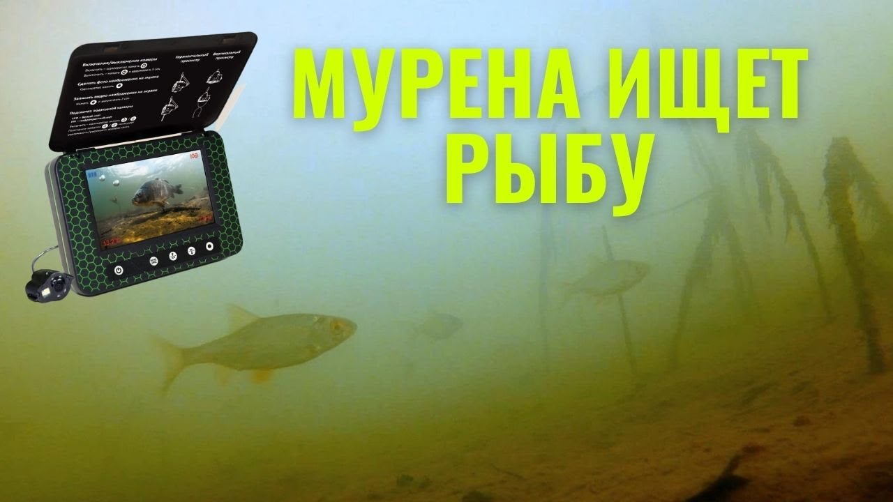 Подводная камера мурена мини