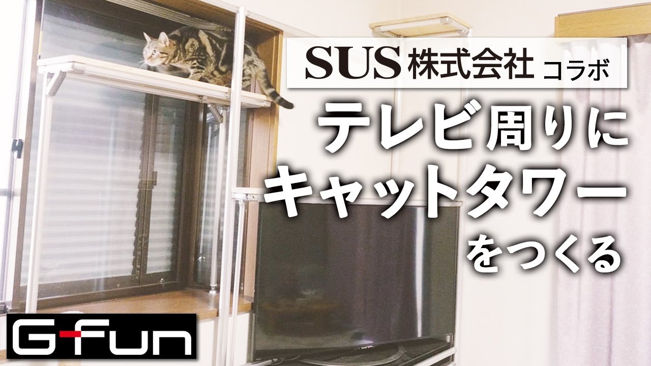 【愛猫も大興奮】３種類のG-Funを使ってテレビ周りにキャットタワーを作ります【SUS株式会社コラボ】