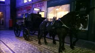 Homeland (George B. Craig)