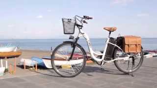 Electric Bike Ecoway - Viky Italy