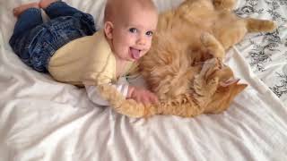 Cats Meeting Babies for the FIRST Time [NEW] Compilation by Pet lovers 2 views 3 years ago 10 minutes, 29 seconds