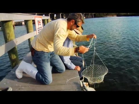 how-to-catch-blue-crabs