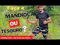 Plantação de Mandioca + Cadê a Mandioca? limpeza da roça de Mandioca + Chácara do zero