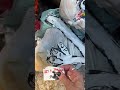 Rivabella, GALLIPOLI – street artist Barcelona, arte urbano, street art short