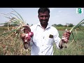 Bharatagri  technology solutions for farmers