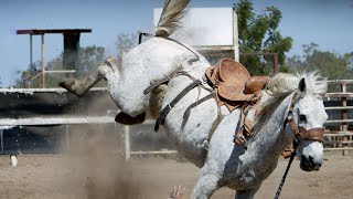 Country music - Rob Mayes | Horses