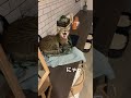 にゃって言うと返事してくれる猫#shorts