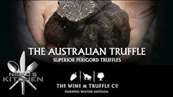 Truffle Hunting - Truffle & Wine Co Manjimup