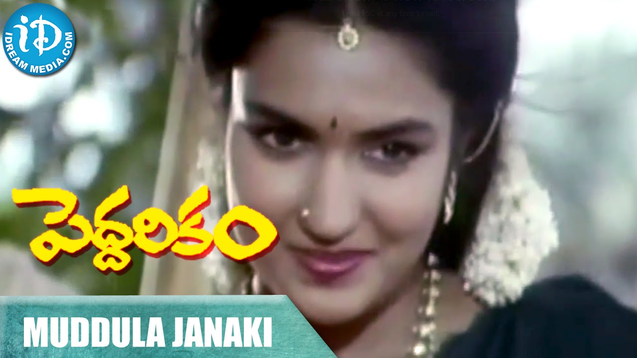 muddula janaki pelliki song