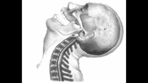 Alpha Quadrant (Snippet)