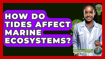 How Do Tides Affect Marine Ecosystems? - Earth Science Answers
