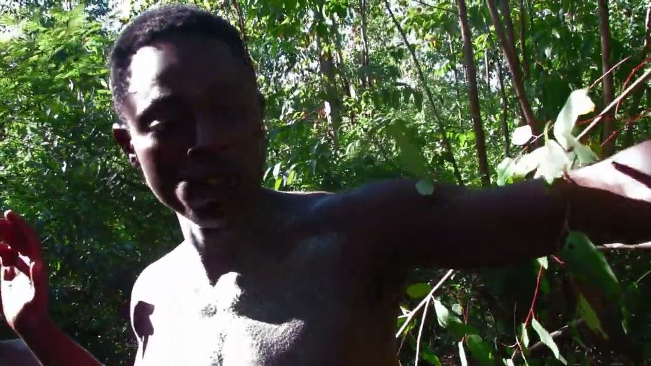 zwifhoni full venda movie2024