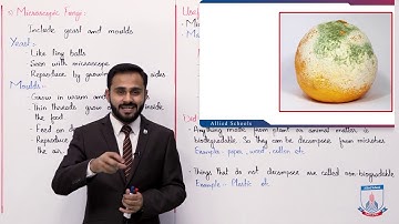 Class 8 - Science- Chapter 11 - Lecture 1 Microbes and Disease - Allied Schools