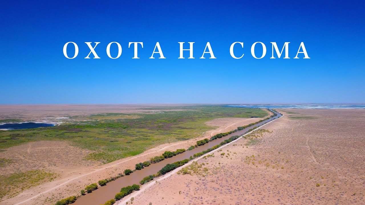 СОМЫ ПУСТЫНИ - ЛЕГЕНДЫ МУТНОЙ РЕКИ….