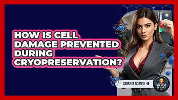 How Is Cell Damage Prevented During Cryopreservation? - Strange Science HQ