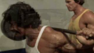 Arnold Bodybuilding