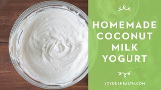 How to Make Homemade Coconut Milk Yogurt