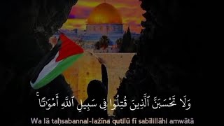 Download Lagu surah al-imran 169-172 #ngaji #alquran #tadarusan MP3 Download Lagu surah al-imran 169-172 #ngaji #alquran #tadarusan MP3