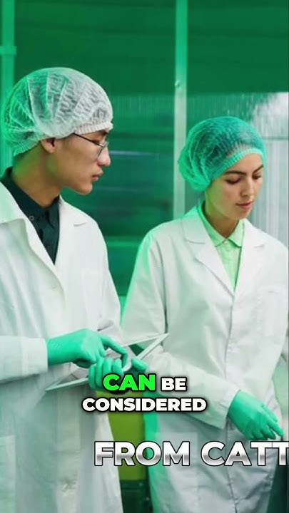 is-bovine-gelatin-halal-halal-food-gelatin-bovinegelatin