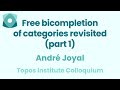 Andr joyal free bicompletion of categories revisited part 1