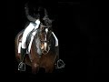 Brutal || Equestrian Music Video