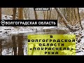 "Покраснела" река, погибла рыба. Что происходит в Волгоградской области?