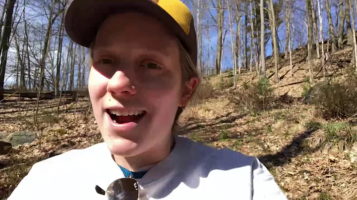 "Life in the Forest with the Vermont Land Trust" w...
