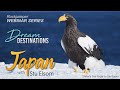 Webinar: Japan with Stu Elsom