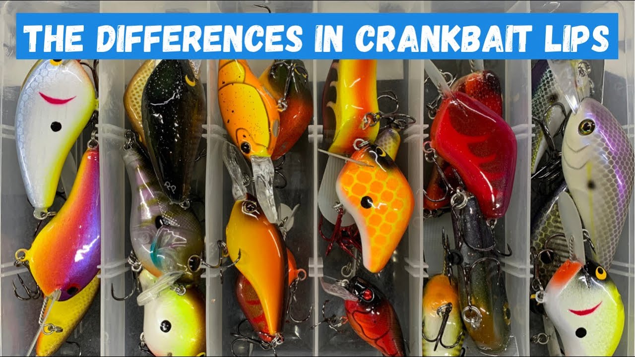 Crankbait Lips 101: How Each Lip Style Affects Lure Action 