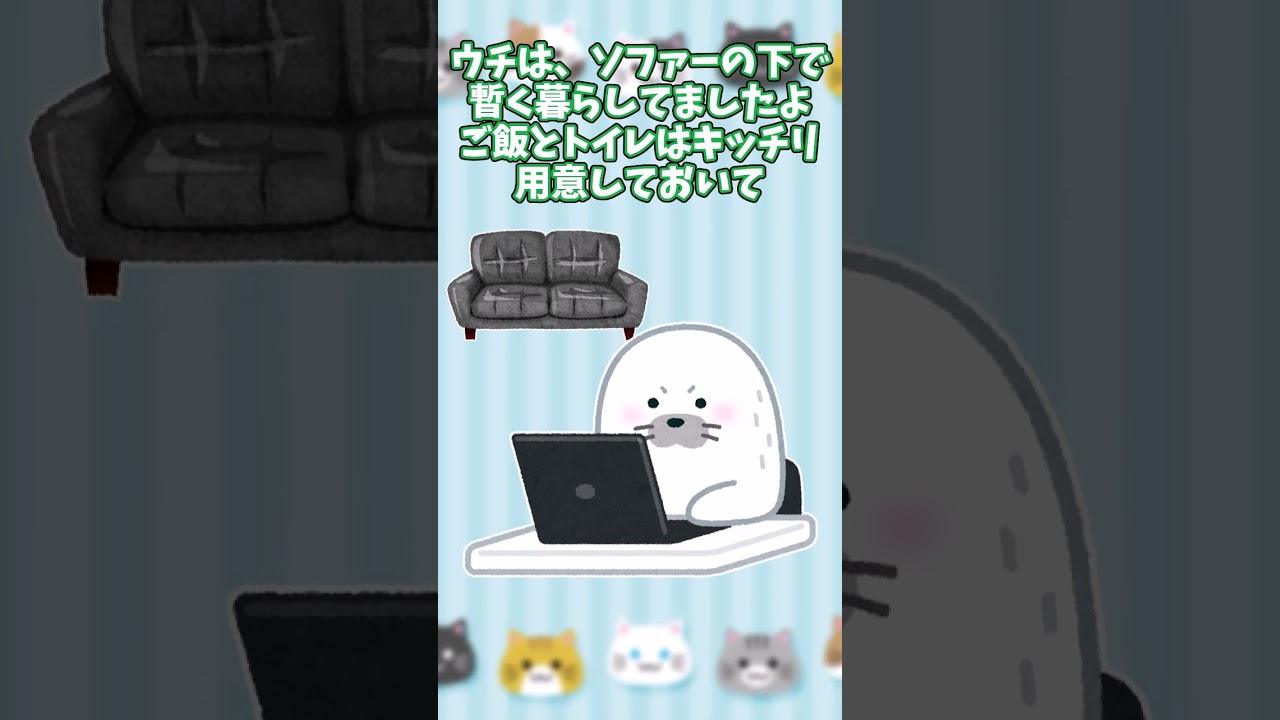 【ほっこり】洗濯機の裏がマイホームな子猫