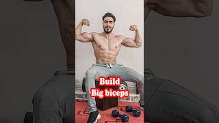 get bigger arms fast/best biceps workout at home