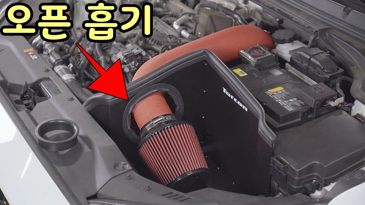 이걸 달면 차에서 비둘기 소리가 난대요