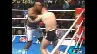 Cro Cop vs Bob Sapp