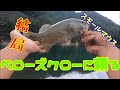 【スモールマウス】結局、これに頼りますｗ【ベローズクロー】