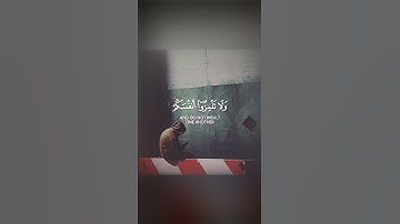 اجمل حالات واتس اب قران كريم بصوت جميل جدا 🎧💖 تلاوة خاشعة ومؤثرة🌸🍃 Quran status