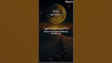 ما تيسر من سورة النمل #قرآن #قران_كريم #اكسبلور #explore #foryoupage
