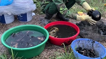 Phong tục bốc mộ " Sang Cát " của người Miền Bắc