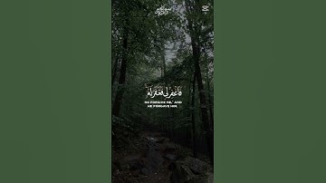 { الحنجرة الذهبية } القارئ عبد الباسط عبد الصمد  #القرآن_الكريم #اكسبلور #المصحف #تلاوة_خاشعة