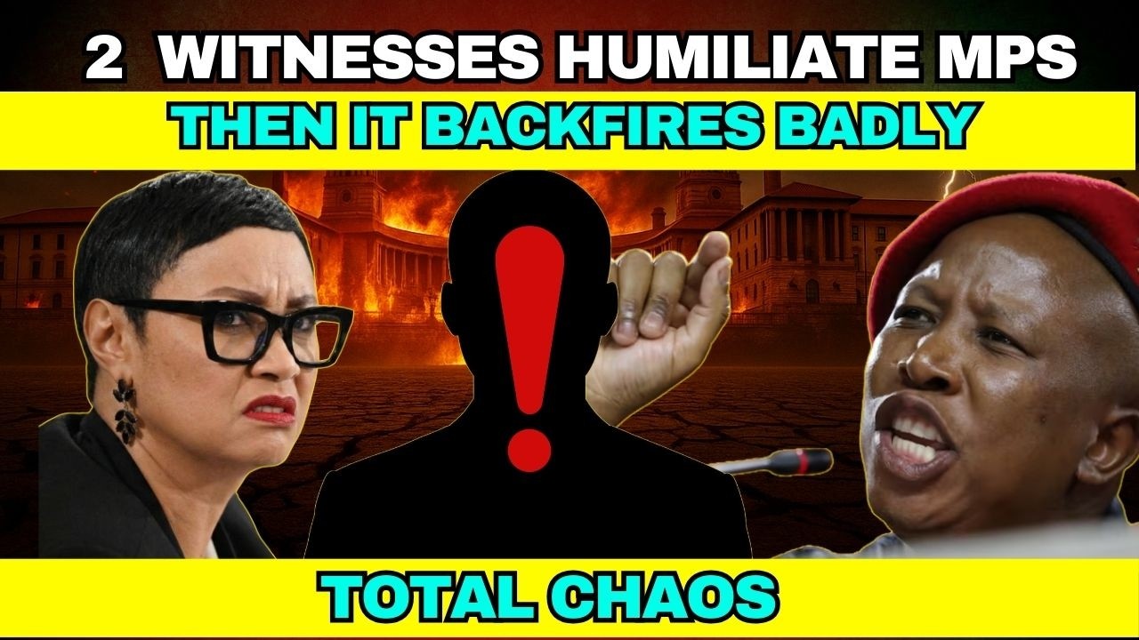 2 ARROGANT Witnesses HUMILIATE MPs Then It Backfires BADLY